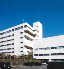 GLP�D���i�꓏�݁j�i��t���D���s�C�_��P�|�P�R�W�X�j