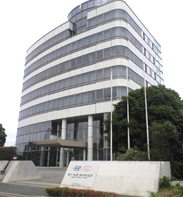 �N���W���p���r���i��t�������J�s�V�����J�Q�|�W�|�T�j